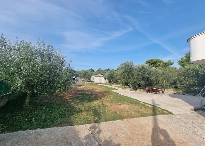 Solei-free Parking *